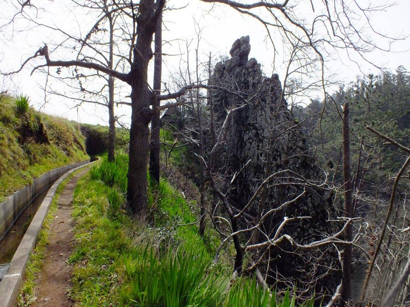 Levada dos Tornos sul — Troço 4 — foto 22