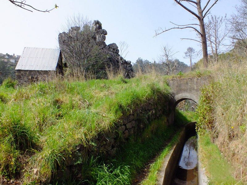 Levada dos Tornos sul — Troço 4 — foto 24