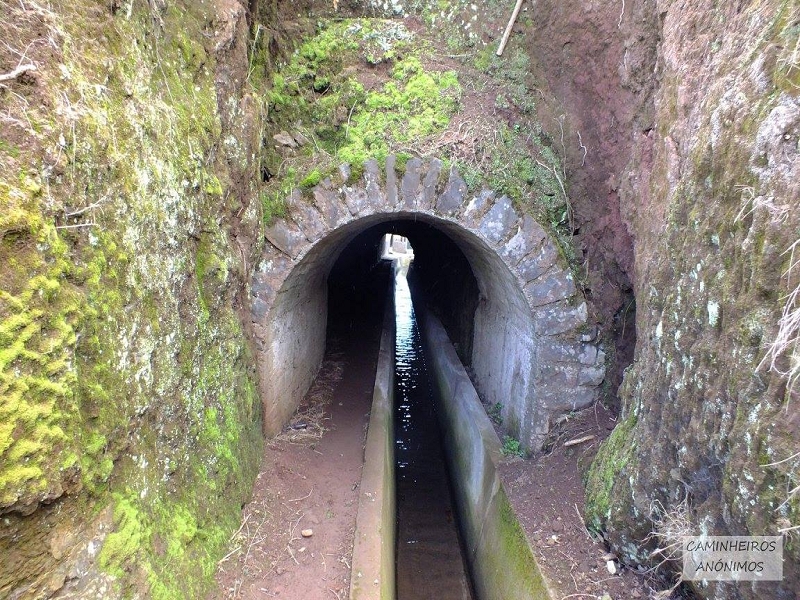 Levada dos Tornos sul — Troço 5 — foto 4
