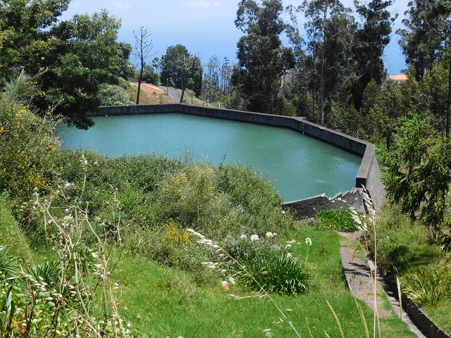Levada dos Tornos sul — Troço 5 — foto 3
