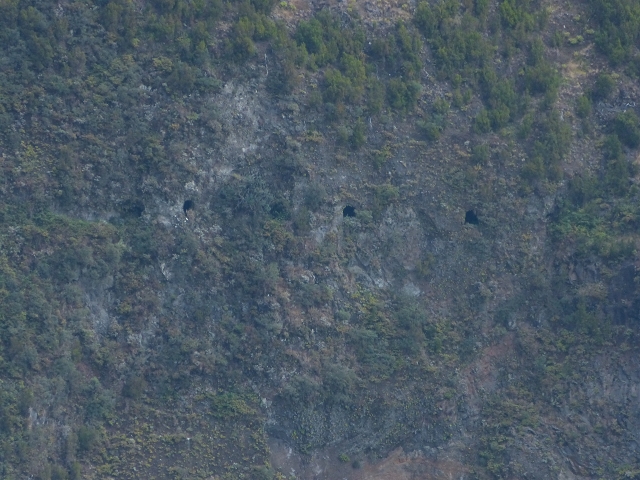 Levadinha Joao de Deus — View from the Levada do Pico Ruivo — photo 4