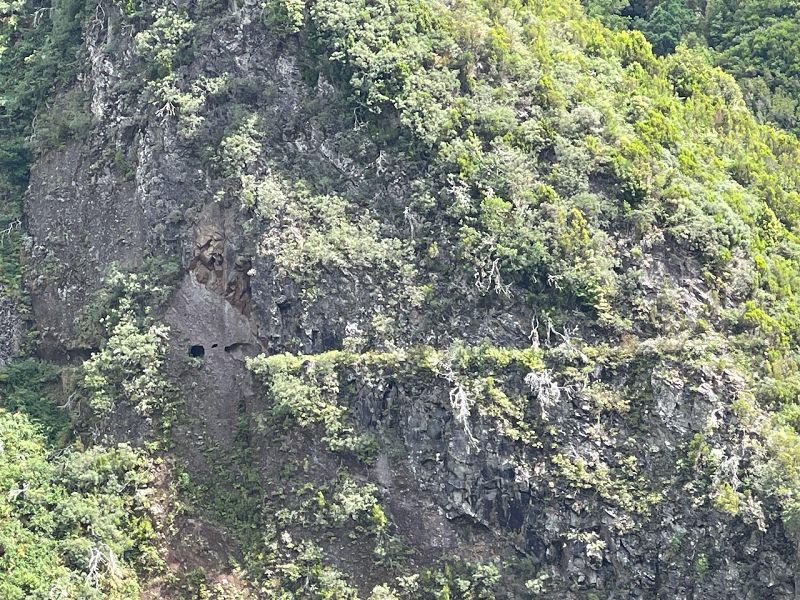 Levadinha Joao de Deus — As far as the 5th tunnel — photo 5