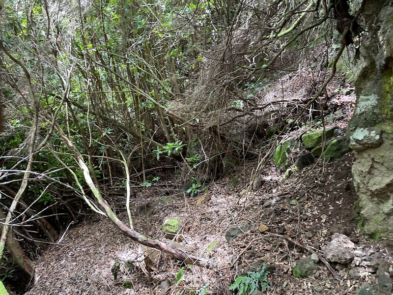 Levadinha Joao de Deus — As far as the 5th tunnel — photo 7