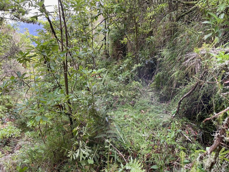 Levadinha Joao de Deus — As far as the 5th tunnel — photo 8