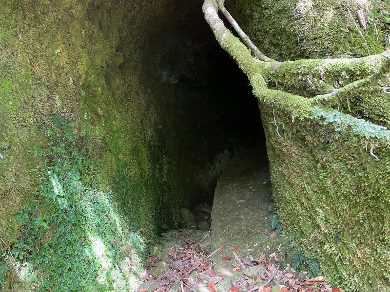 Levadinha Joao de Deus — As far as the 5th tunnel — photo 9