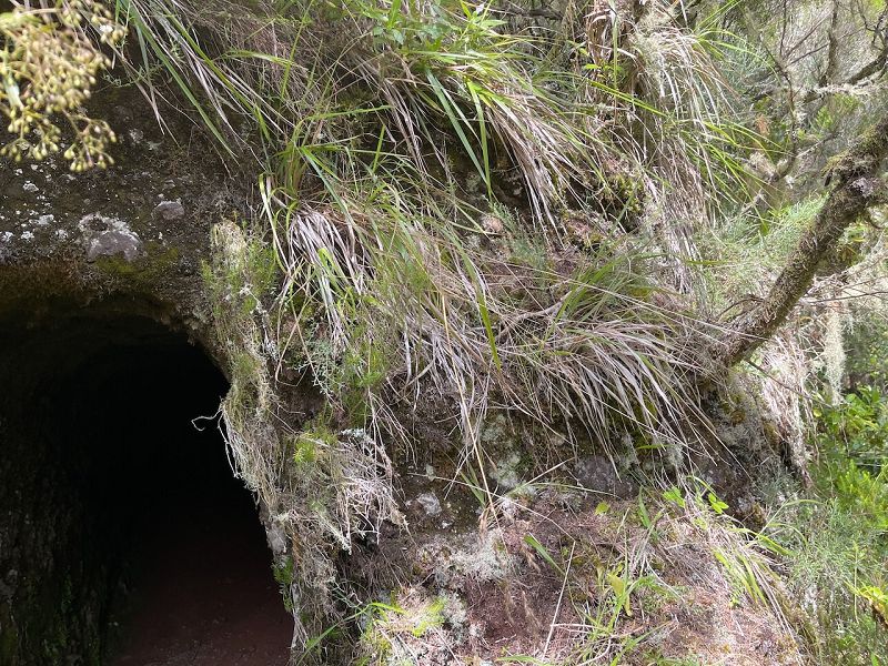 Levadinha Joao de Deus — As far as the 6th (buried) tunnel — photo 3