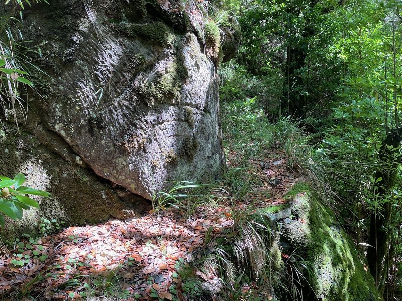 Levadinha Joao de Deus — As far as the 7th (buried) tunnel — photo 1