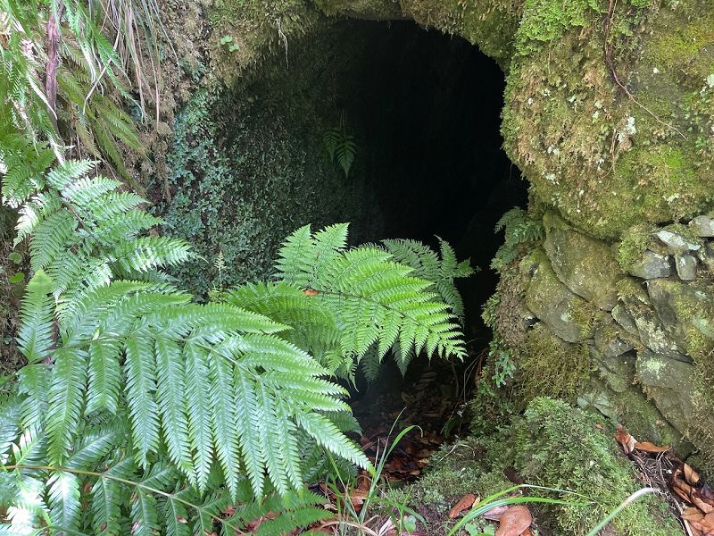 Levadinha Joao de Deus — As far as the 7th (buried) tunnel — photo 2
