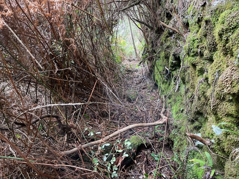 Levadinha Joao de Deus — As far as the 4th tunnel — photo 4