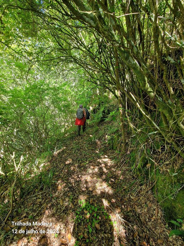 Levadinha Joao de Deus — On through further gallery tunnels — photo 7