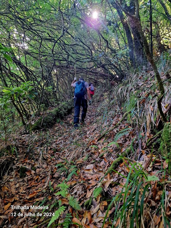 Levadinha Joao de Deus — On through further gallery tunnels — photo 9