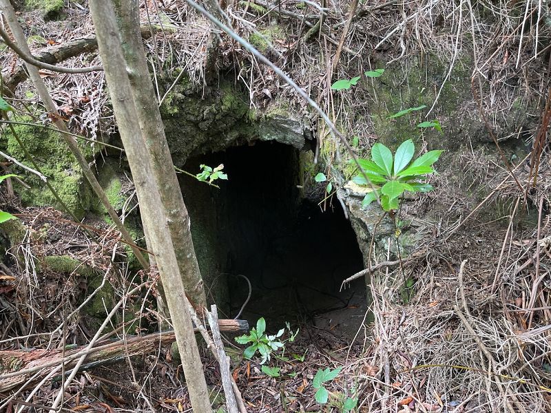 Levadinha Joao de Deus — As far as the 4th tunnel — photo 5