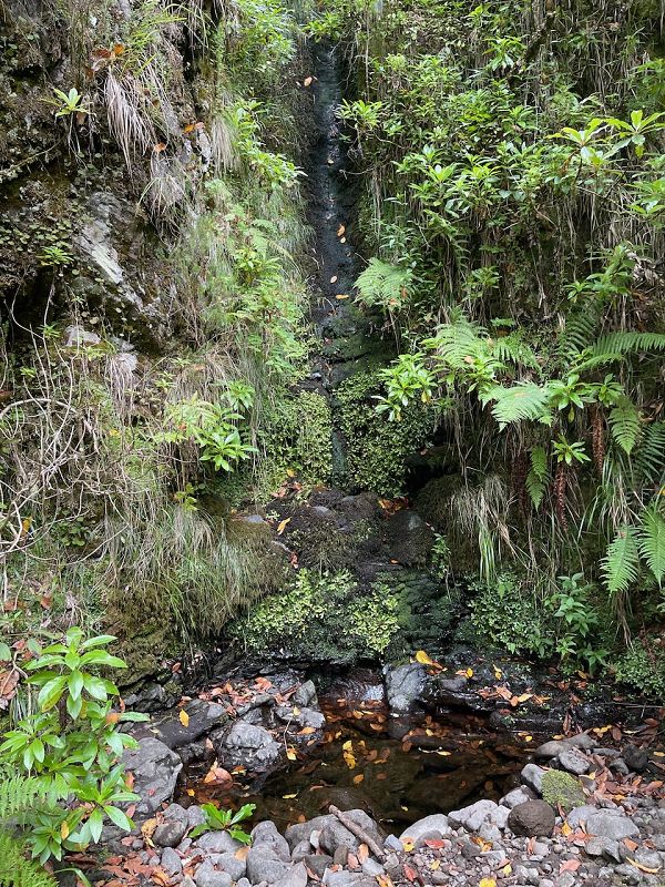 Levadinha Joao de Deus — As far as the 5th tunnel — photo 1