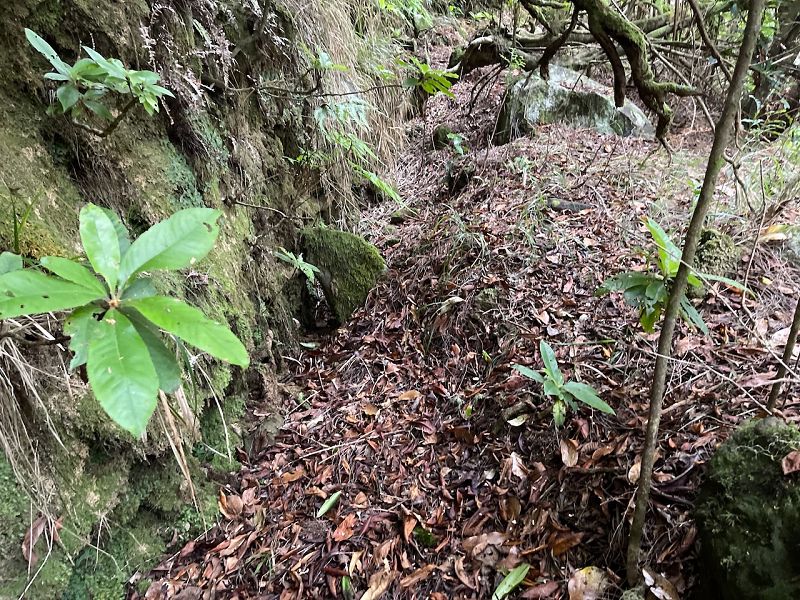 Levadinha Joao de Deus — As far as the 5th tunnel — photo 3