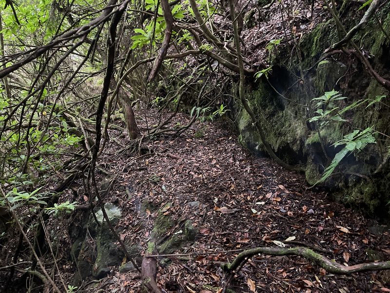 Levadinha Joao de Deus — As far as the 5th tunnel — photo 4
