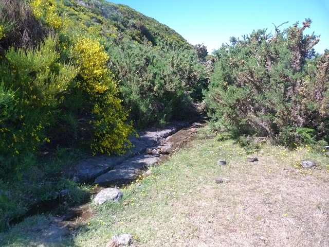 2 July 2016 Paul da Serra — Along the Levadinha da Serra — photo 1