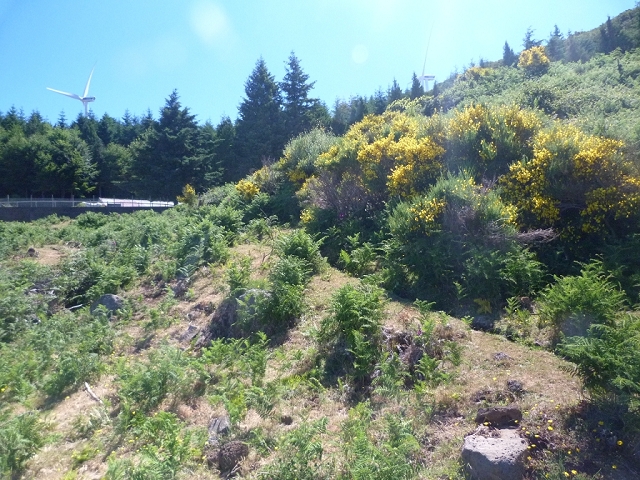 2 July 2016 Paul da Serra — Along the Levadinha da Serra — photo 2