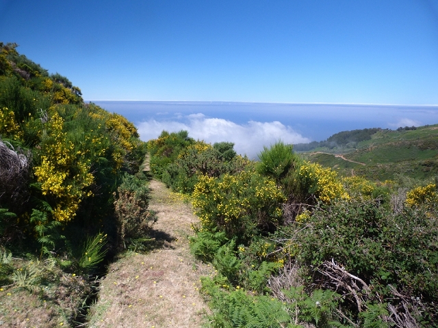 2 July 2016 Paul da Serra — Along the Levadinha da Serra — photo 3