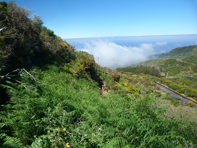 2 July 2016 Paul da Serra — Along the Levadinha da Serra — photo 4