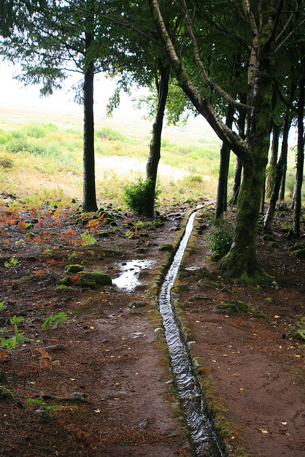 Levadinha da Serra — Na zona do Pico Ruivo do Paul — foto 3