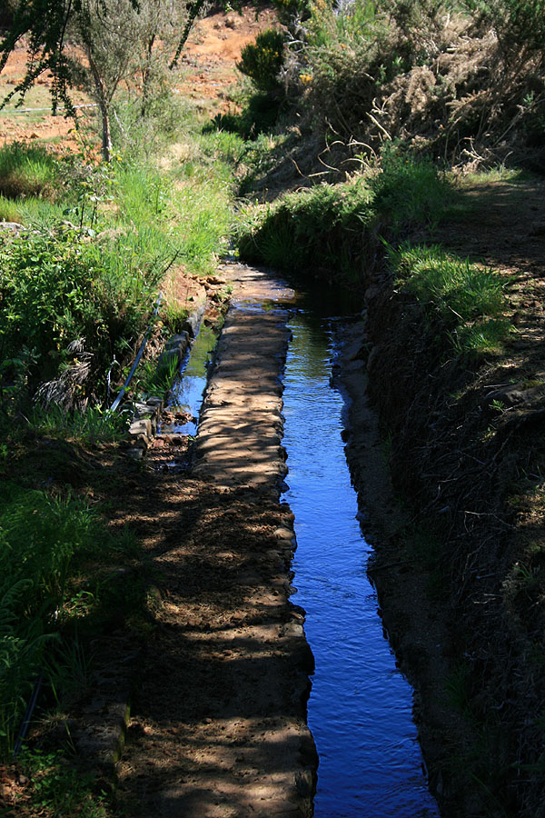 Levadinha da Serra — Na zona do Pico Ruivo do Paul — foto 5