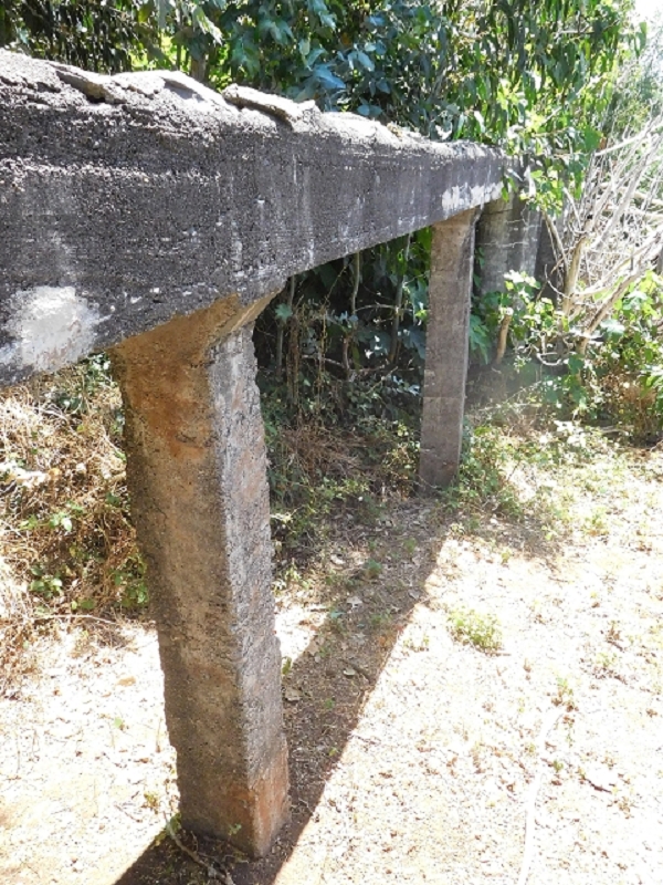 Moinho da Roda II — photo 2