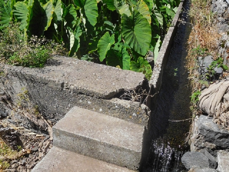 Moinho da Terca — foto 7